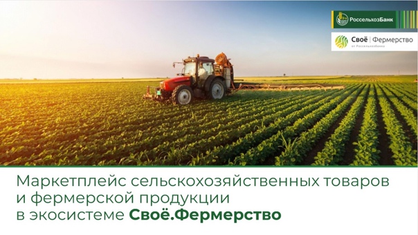 Экосистема для фермерских хозяйств «Своё Фермерство»: площадка для ведения агробизнеса, продажи с/х продукции и агротуров