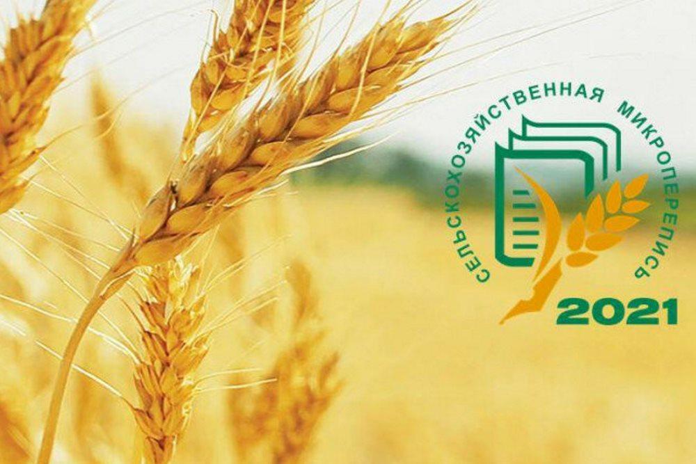 Предварительные итоги сельскохозяйственной микропереписи появятся уже в ноябре этого года