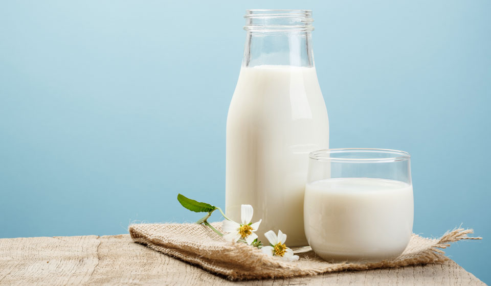 25 января пройдёт XIII съезд Национального союза производителей молока (Союзмолоко)